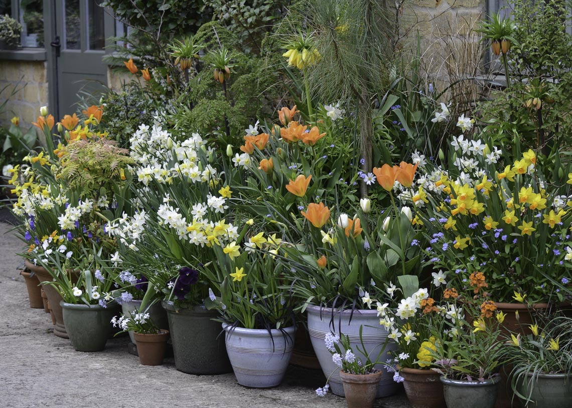 Growing in Containers